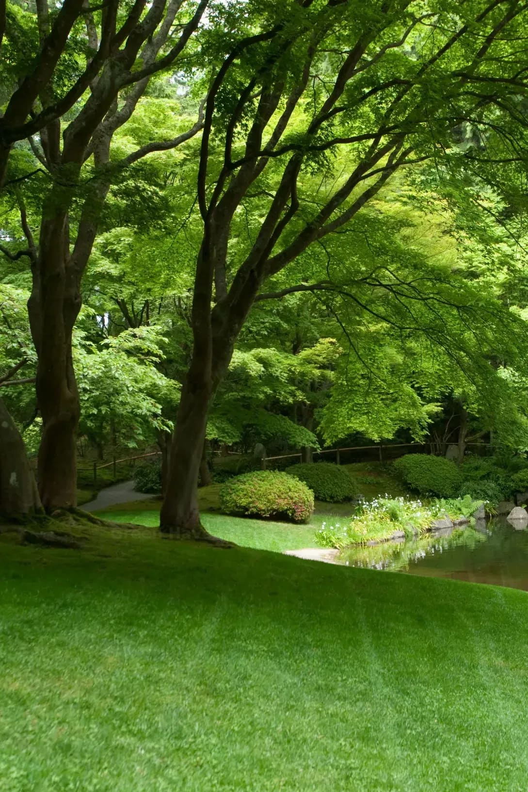 Green Haven Gardens 14