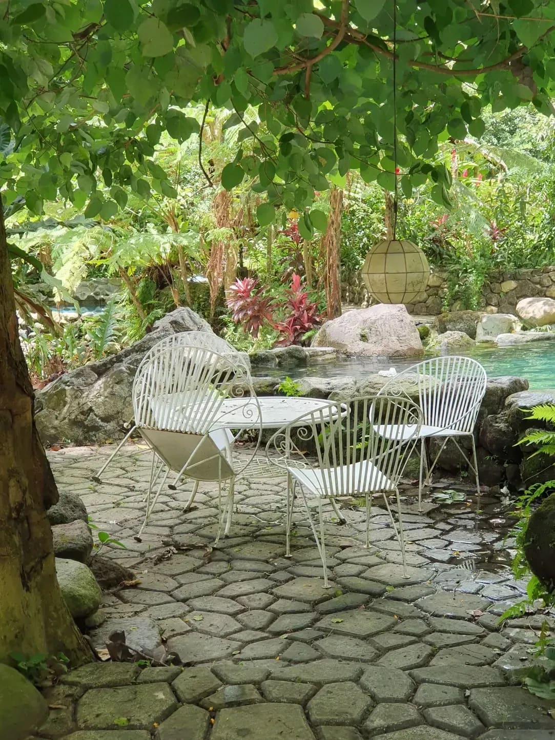Green Haven Gardens 15