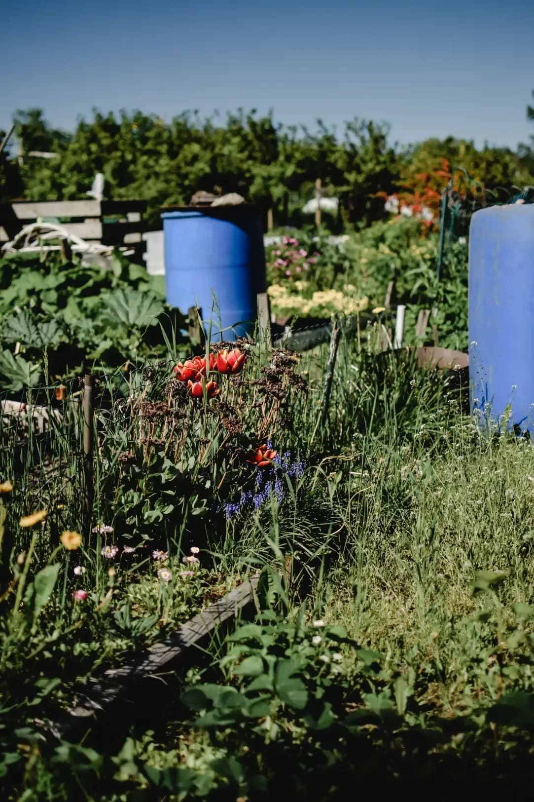 Green Haven Gardens 4
