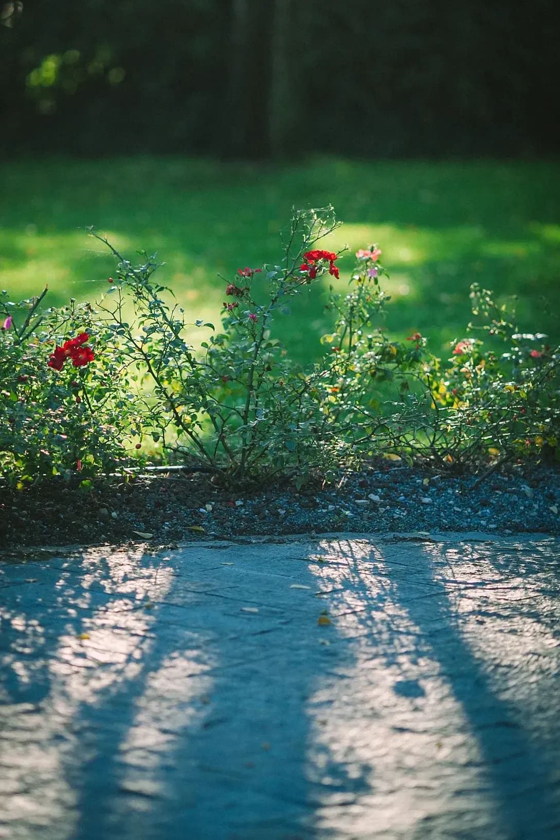 Green Haven Gardens 5