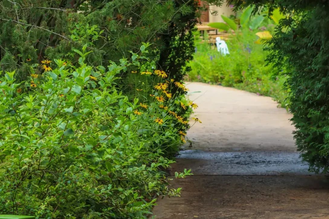 Garden clearance and seasonal tidy-ups